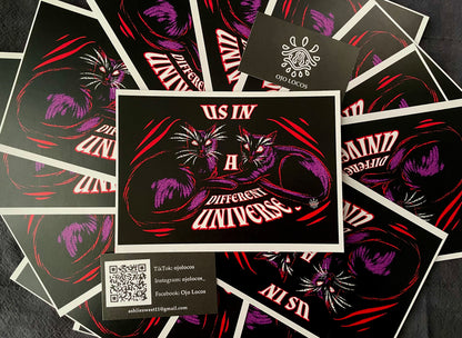 Us in A Different Universe