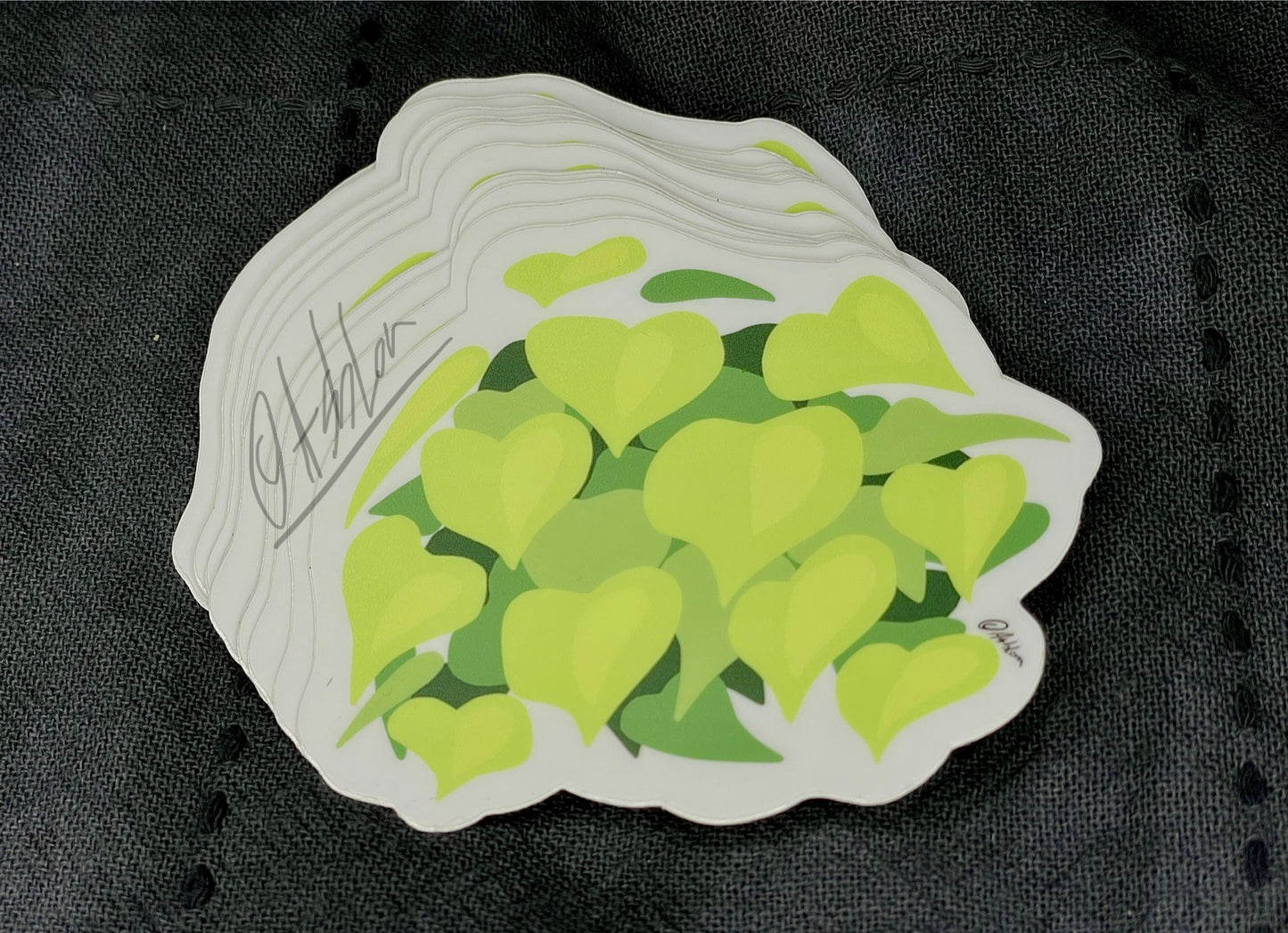 Lemon Lime Philodendron