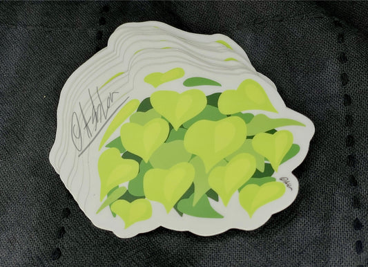 Lemon Lime Philodendron