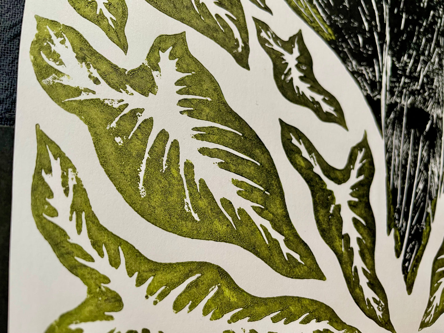 Toco with Arrowheads