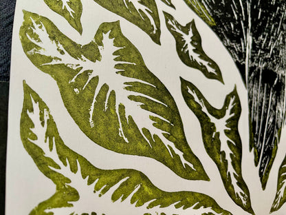 Toco with Arrowheads